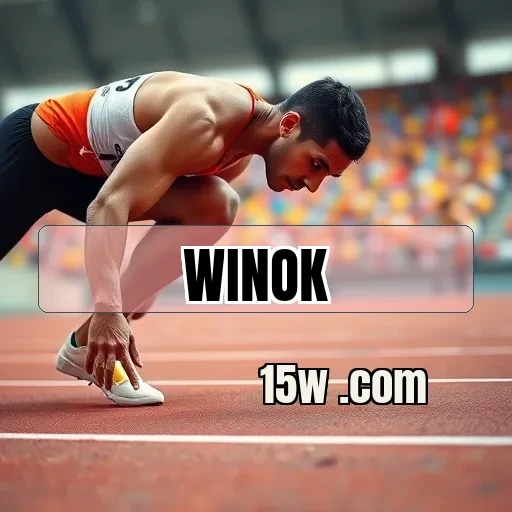 winok.com Segurança